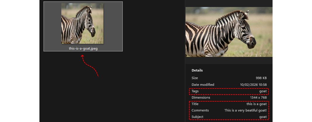 Screenshot of a file with a misleading name